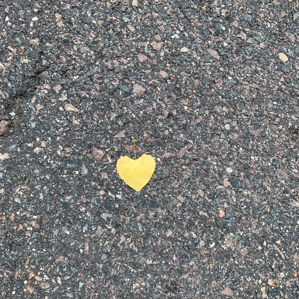 Meet your Posher, Kristle